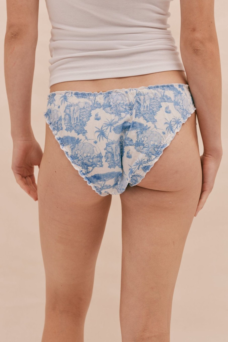 Women Desmond & Dempsey Accessories | Knickers